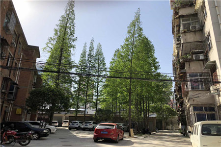 小高层跃层，住家户美式装修风格随时看房